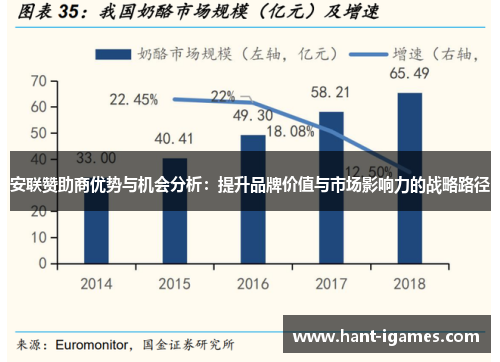 安联赞助商优势与机会分析：提升品牌价值与市场影响力的战略路径